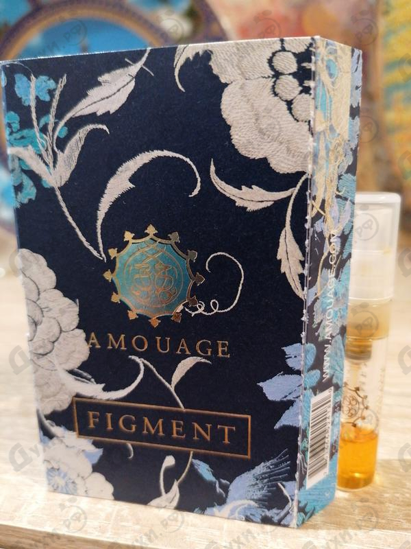 Купить Figment от Amouage