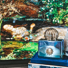 Парфюм Amouage Figment