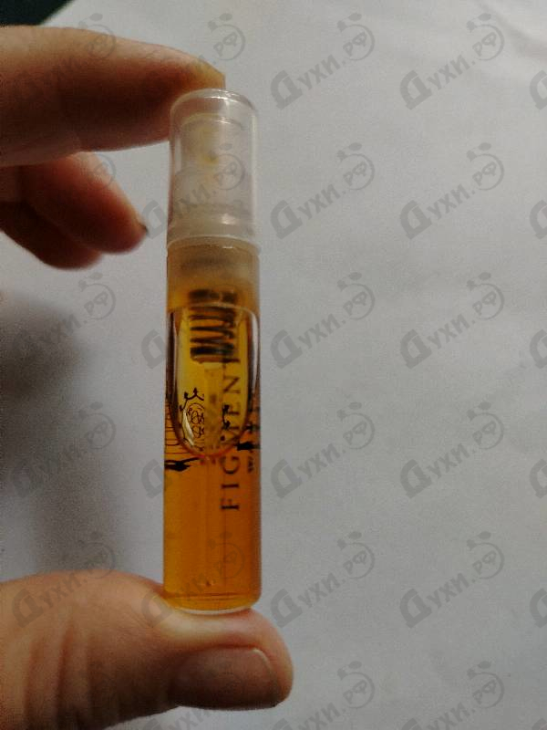 Купить Figment от Amouage