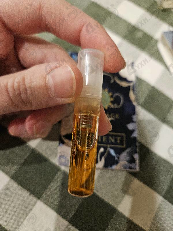 Духи Figment от Amouage