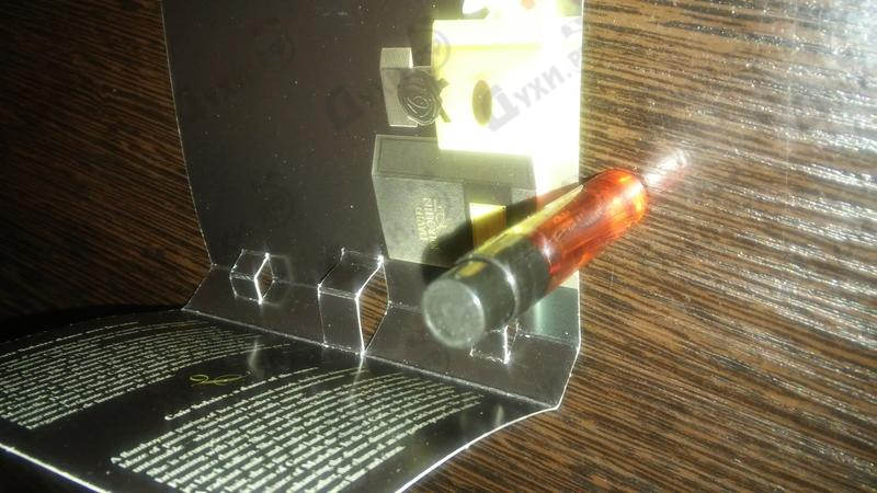 Купить Cuir Solaire от David Jourquin