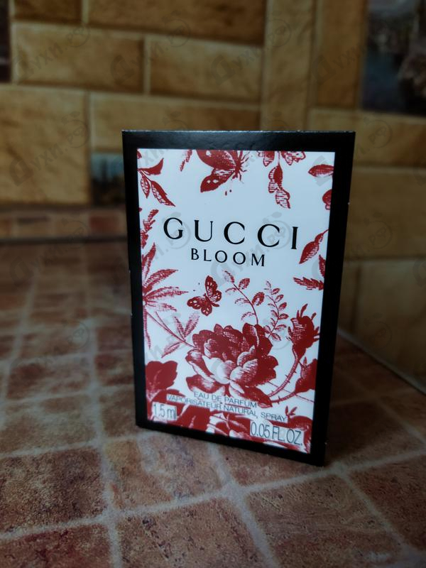 Парфюмерия Bloom от Gucci