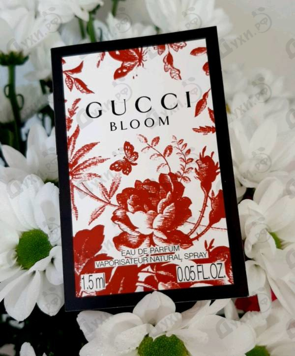 Парфюмерия Bloom от Gucci