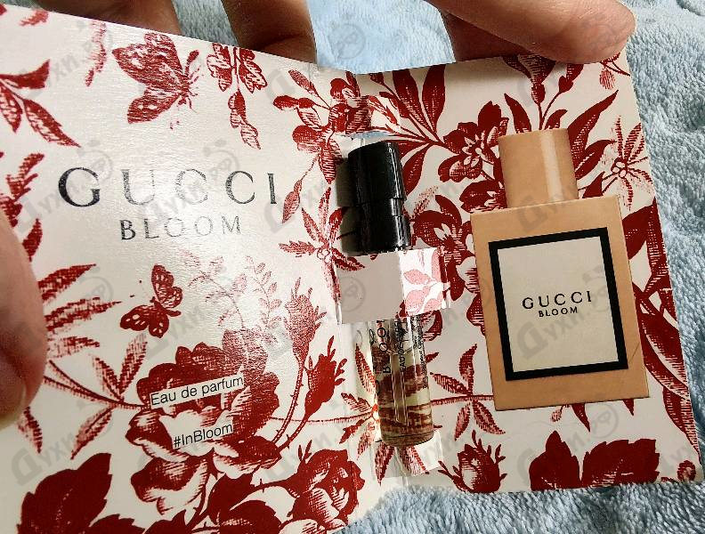 Парфюмерия Bloom от Gucci