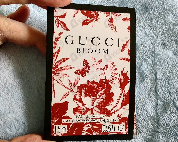 Купить Bloom от Gucci