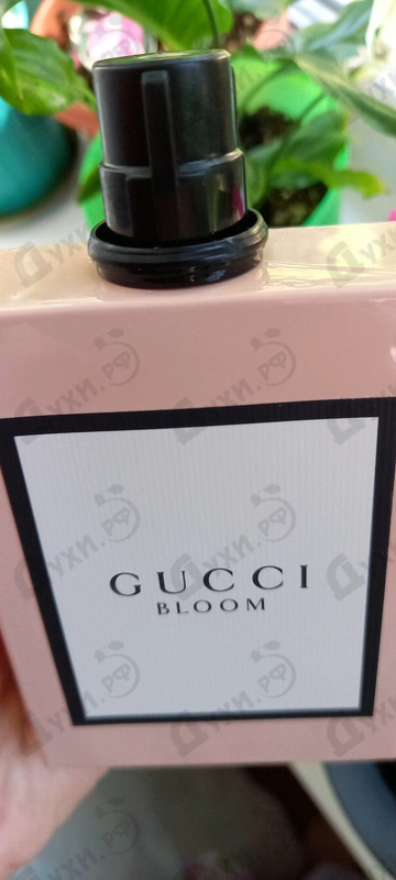 Парфюмерия Bloom от Gucci