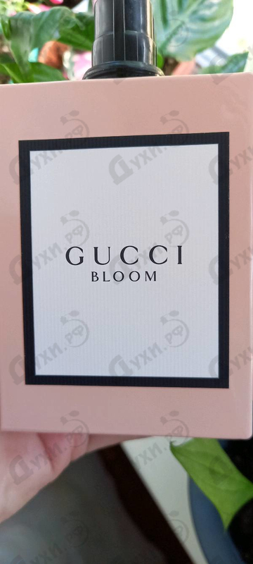 Духи Bloom от Gucci