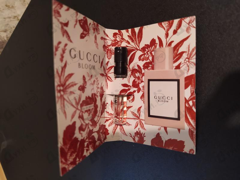 Купить Bloom от Gucci