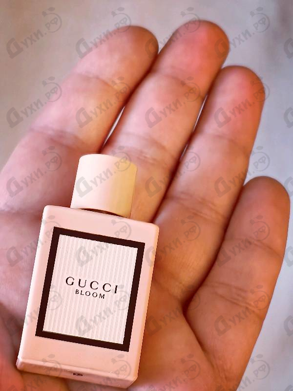 Парфюмерия Bloom от Gucci