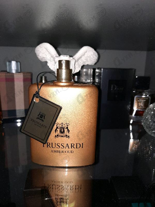 Отзыв Trussardi Amber Oud