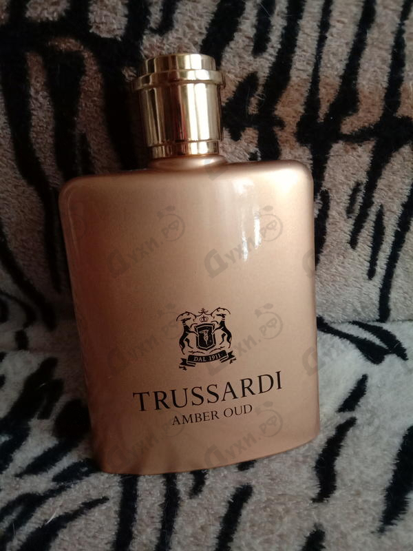 Отзыв Trussardi Amber Oud Купить Amber Oud от Trussardi