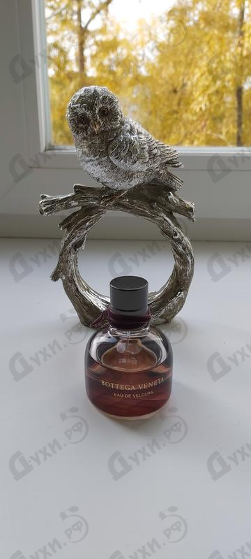 Парфюмерия Eau De Velours от Bottega Veneta