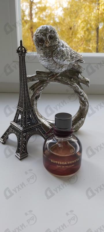 Купить Eau De Velours от Bottega Veneta