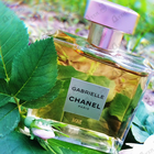 Отзывы Chanel Gabrielle