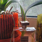 Отзыв Chanel Gabrielle