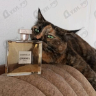 Парфюм Chanel Gabrielle