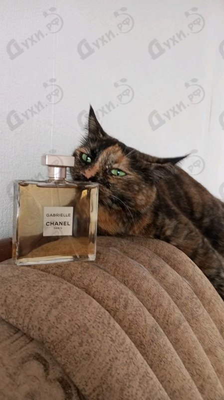 Парфюмерия Gabrielle от Chanel