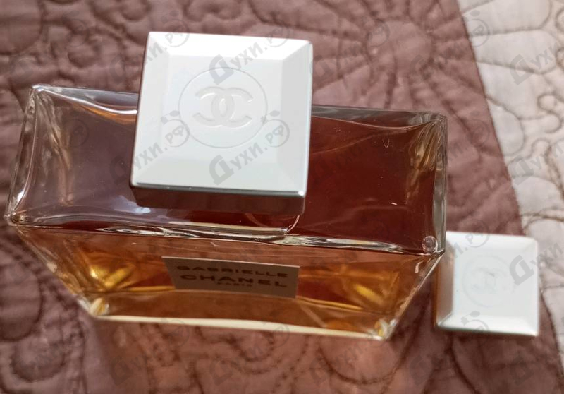 Купить Chanel Gabrielle