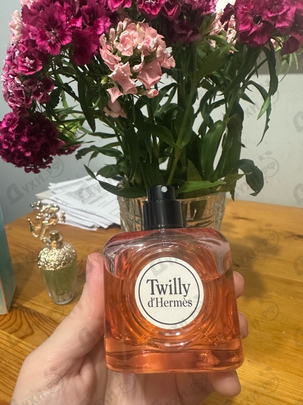 Духи Twilly D'hermes от Hermes