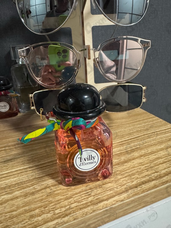 Купить Hermes Twilly D'hermes