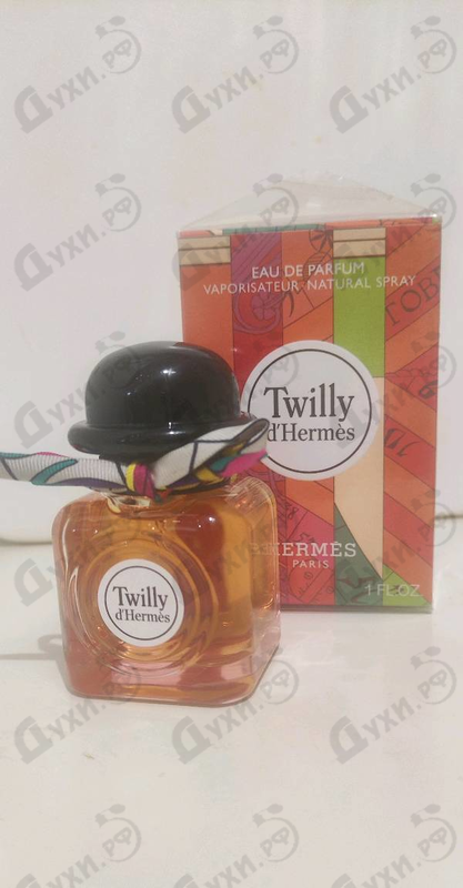 Купить Twilly D'hermes от Hermes