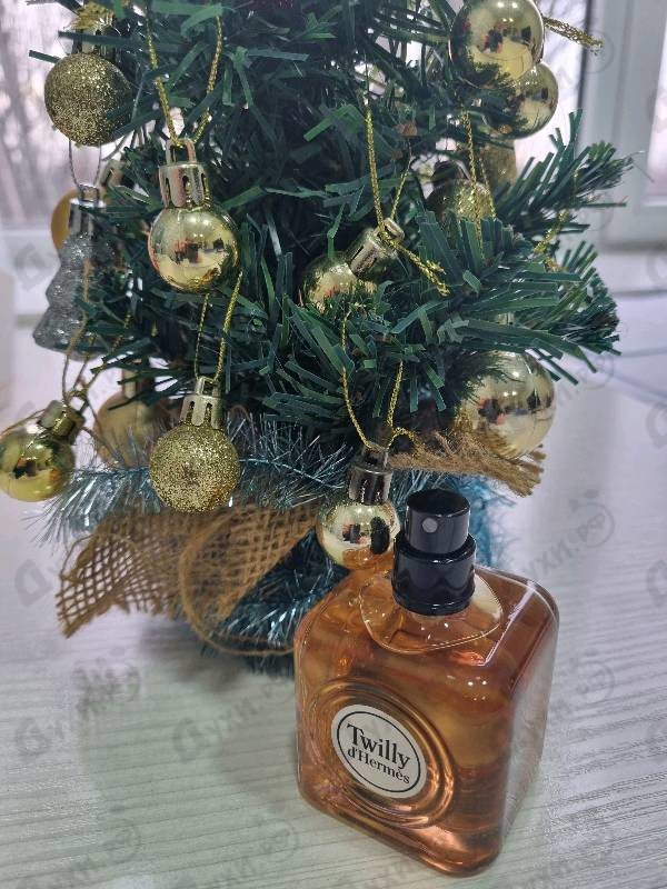 Купить Twilly D'hermes от Hermes Отзывы Hermes Twilly D'hermes