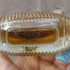 Отзывы Trussardi Riflesso