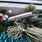 Парфюм Christian Dior Miss Dior Eau De Parfum (2017)