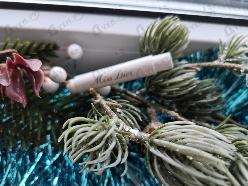 Купить Miss Dior Eau De Parfum (2017) от Christian Dior Отзыв Christian Dior Miss Dior Eau De Parfum (2017)