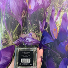 Отзывы Jo Malone Jade Leaf Tea