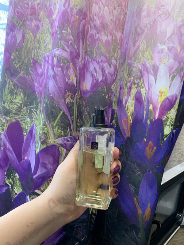 Отзыв Jo Malone Jade Leaf Tea Купить Jade Leaf Tea от Jo Malone