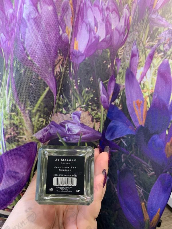 Парфюмерия Jade Leaf Tea от Jo Malone