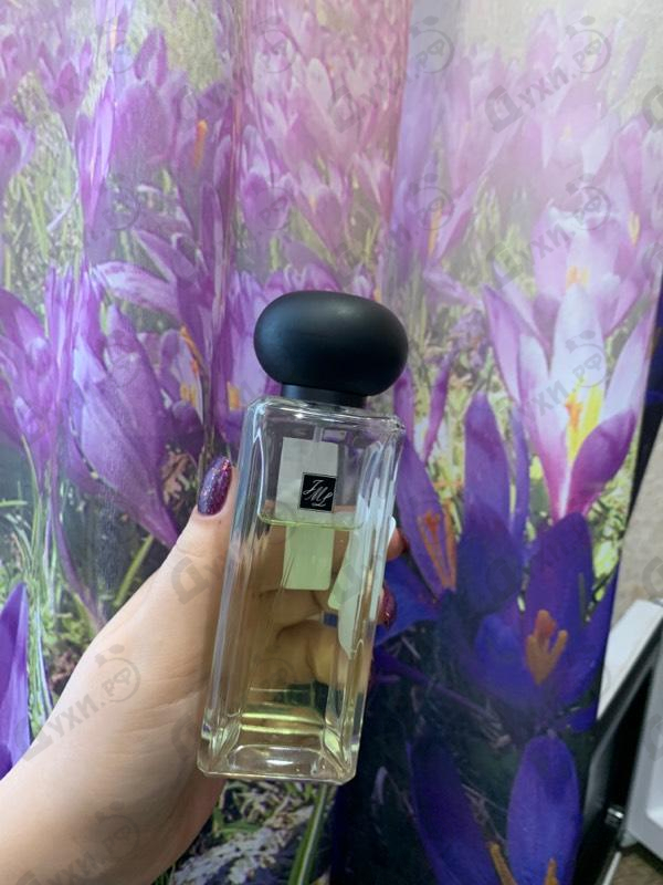 Купить Jade Leaf Tea от Jo Malone Отзывы Jo Malone Jade Leaf Tea