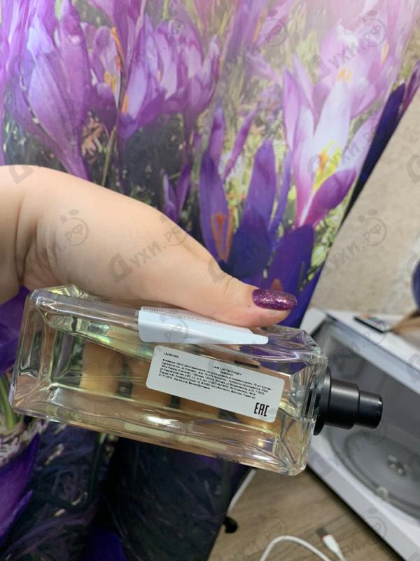 Купить Jo Malone Jade Leaf Tea Парфюмерия Jade Leaf Tea от Jo Malone