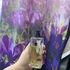 Отзыв Jo Malone Jade Leaf Tea Купить Jade Leaf Tea от Jo Malone