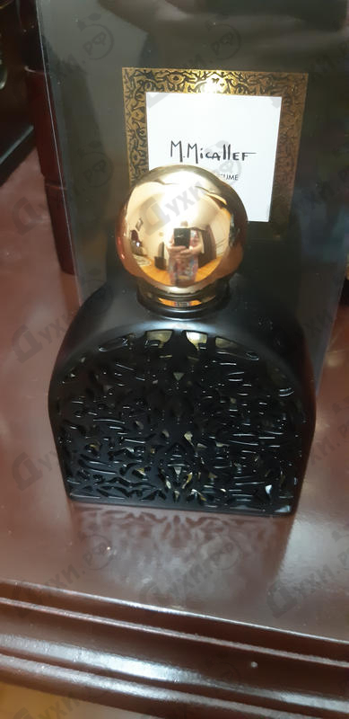 Купить Delice от Micallef Отзыв Micallef Delice