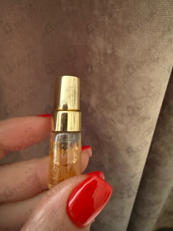 Купить Delice от Micallef