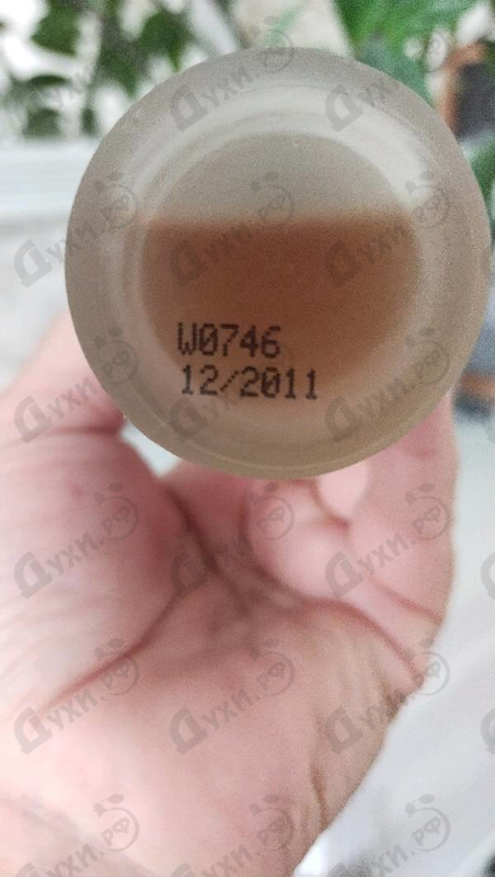 Духи Nudes 1979 Pour Femme от Madonna Купить Madonna Nudes 1979 Pour Femme