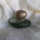 Отзывы Majda Bekkali Tulaytulah