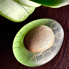 Отзыв Majda Bekkali Tulaytulah