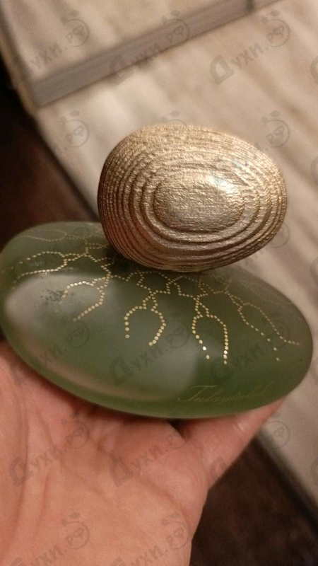 Духи Tulaytulah от Majda Bekkali