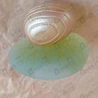 Отзыв Majda Bekkali Tulaytulah