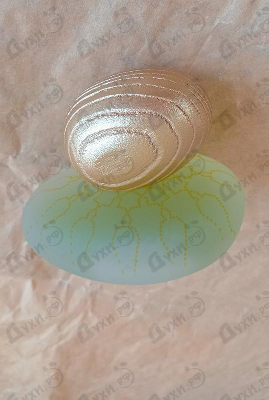 Купить Tulaytulah от Majda Bekkali