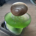 Отзывы Majda Bekkali Tulaytulah