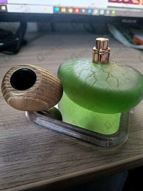 Отзывы Majda Bekkali Tulaytulah