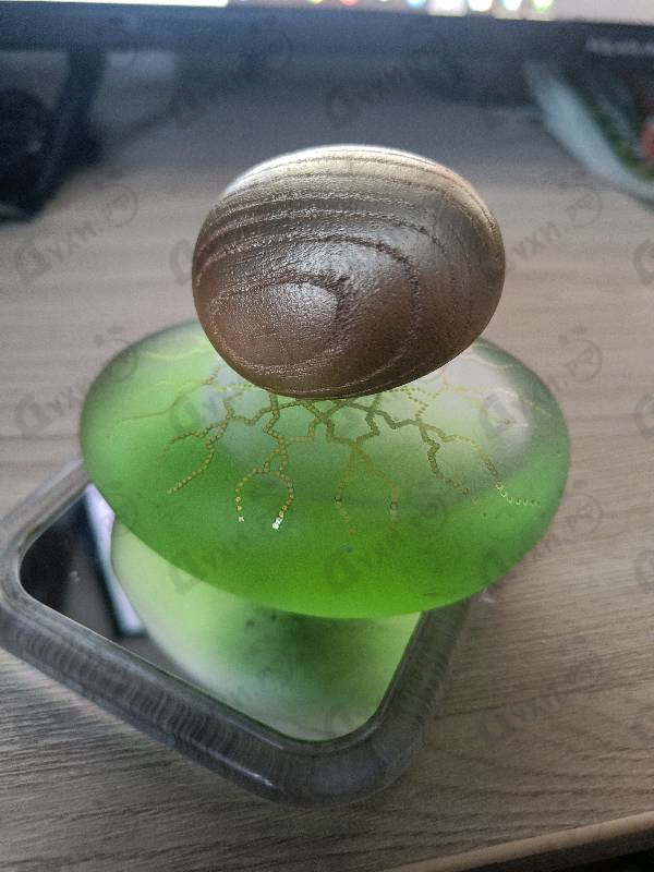 Купить Tulaytulah от Majda Bekkali