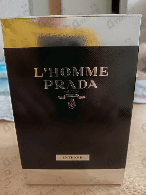 Купить L'homme Intense от Prada