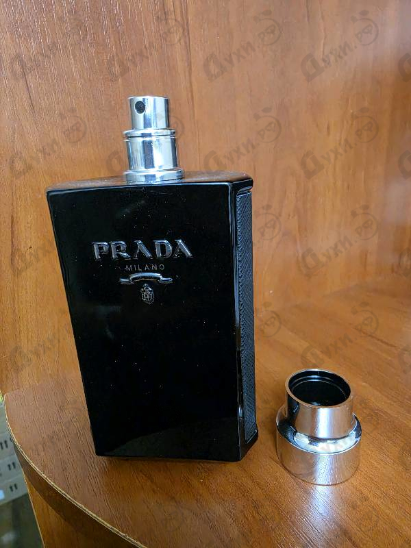 Купить L'homme Intense от Prada