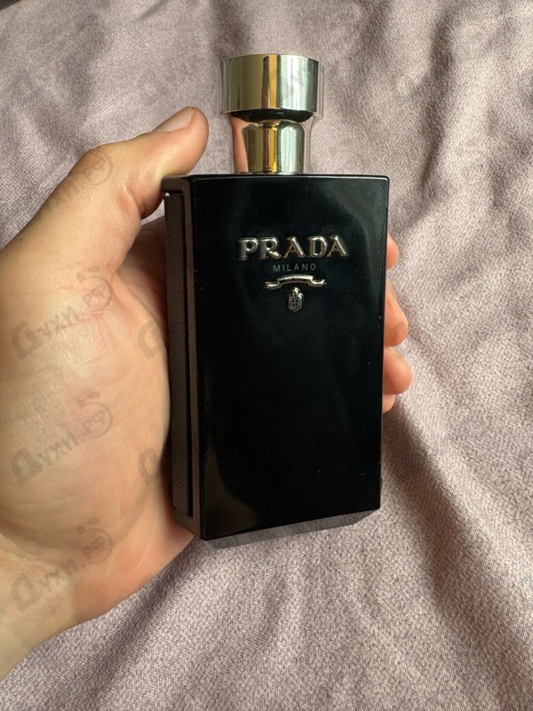 Купить L'homme Intense от Prada