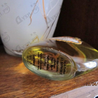 Духи Eleonore от Rance